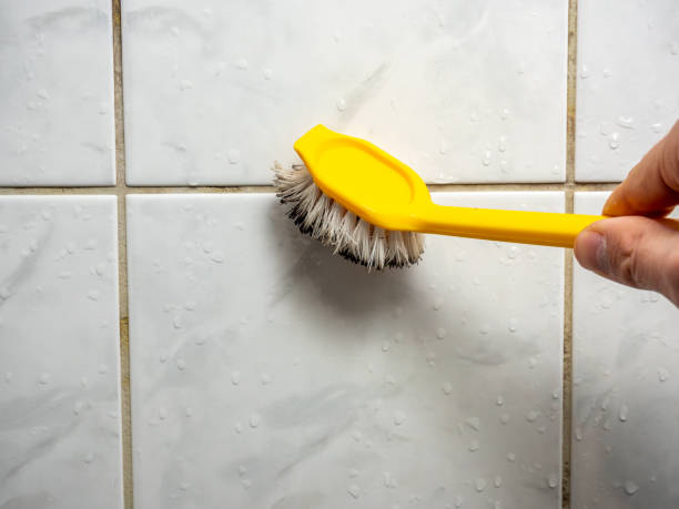 Best Local Mold Removal Service  in Blossom, TX