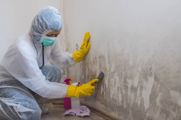 Best Crawl Space Mold Removal  in Blossom, TX