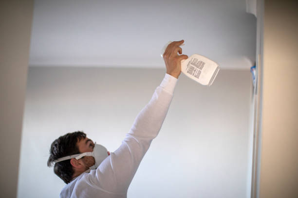 Best Home Mold Removal  in Blossom, TX