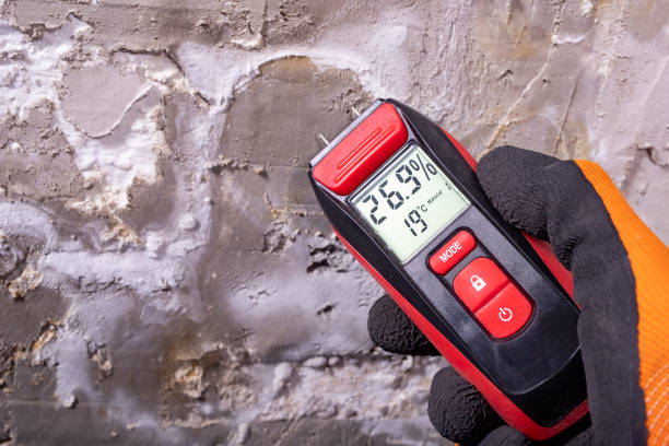 Blossom, TX Mold Removal Company