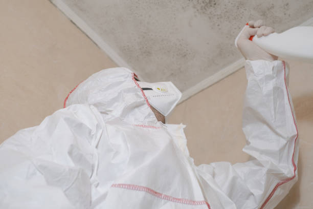 Best Mold Testing  in Blossom, TX